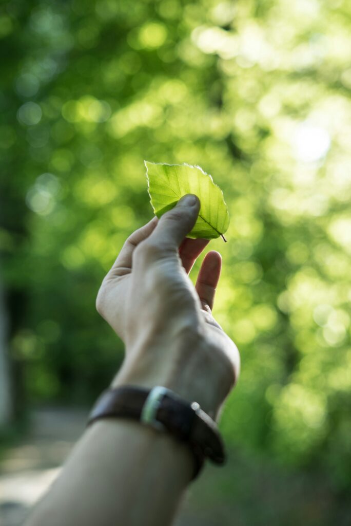 Eco-Friendly Landscaping: Sustainable Practices for Homeowners