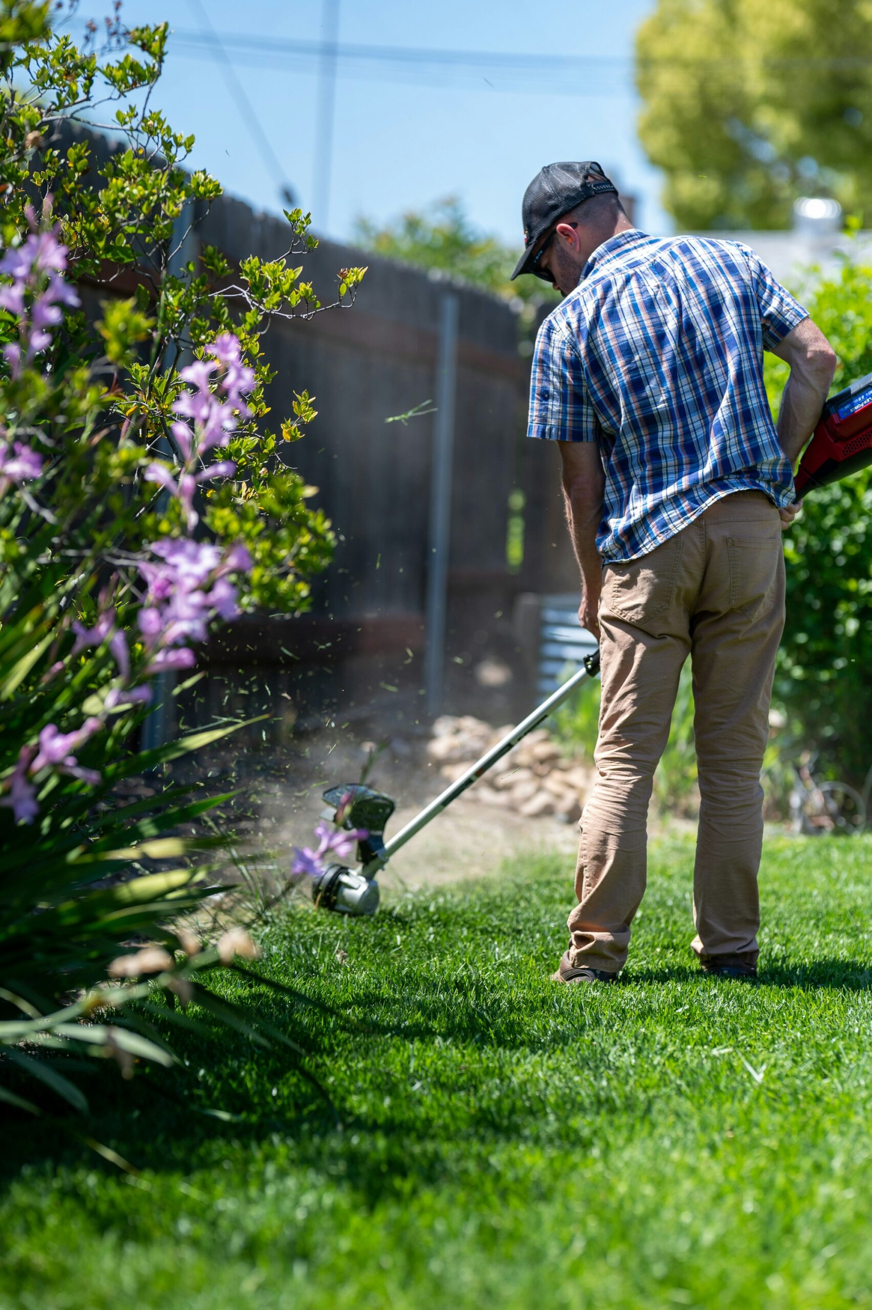 Beginners Guide to DIY Lawn Care and Maintenance