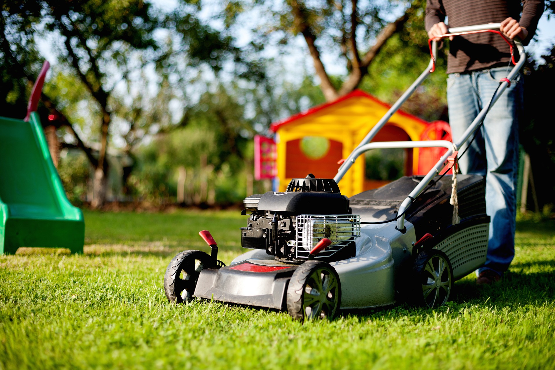 Beginners Guide to DIY Lawn Care and Maintenance